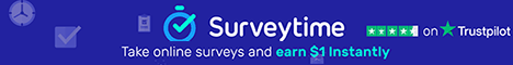 SurveyTime